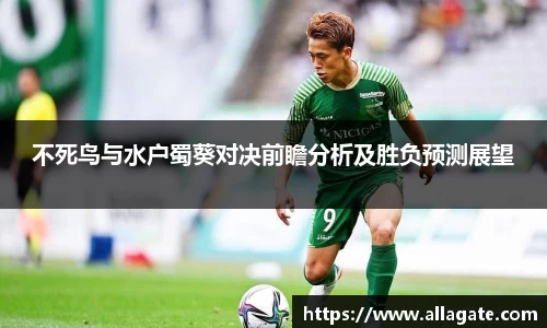 不死鸟与水户蜀葵对决前瞻分析及胜负预测展望